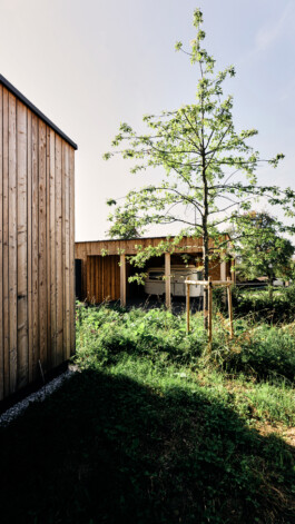 Zirup, Architektur & Design