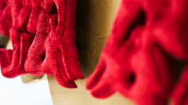 Zirup, Architektur & Design