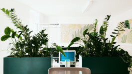 Zirup, Architektur & Design