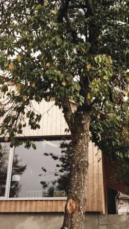 Zirup, Architektur & Design