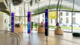 Zirup, Architektur & Design