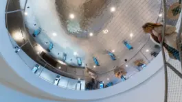 Zirup, Architektur & Design