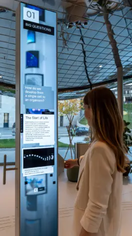 Zirup, Architektur & Design