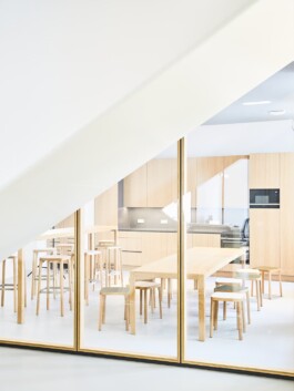 zirup-architektur-design-z143-th01 architecture and interior design projects by Vienna-based studio Zirup ZT GmbH