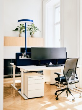zirup-architektur-z196-cis-office-03 architecture and interior design projects by Vienna-based studio Zirup ZT GmbH