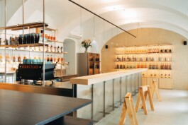 zirup-architektur-z207-shop%vol-01 architecture and interior design projects by Vienna-based studio Zirup ZT GmbH